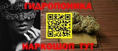 стафф Тверь