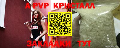стафф Тверь