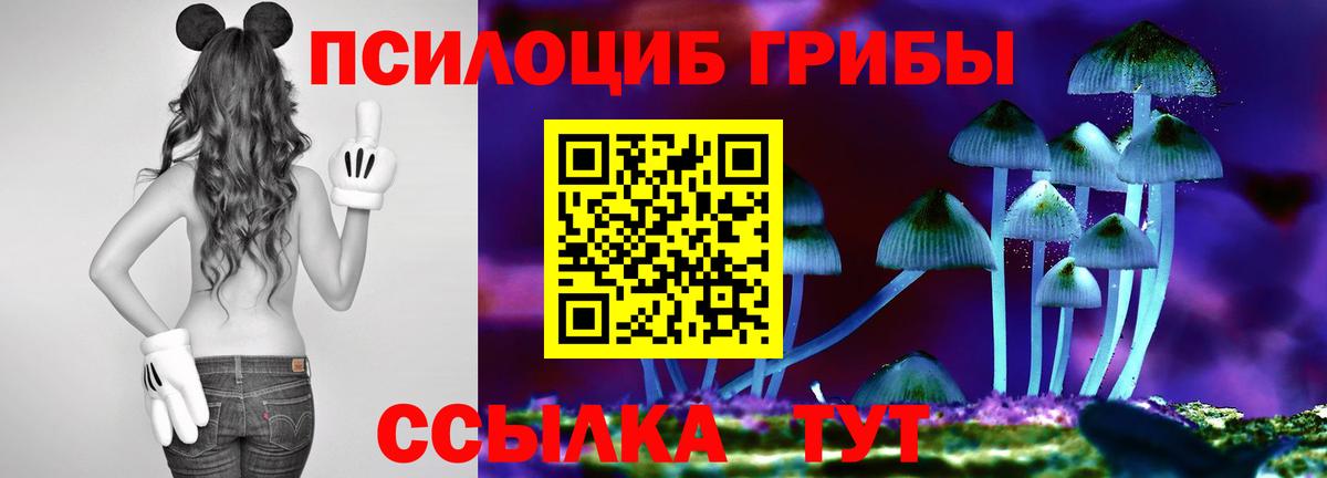 Галлюциногенные грибы MAGIC MUSHROOMS  Вход с VPN  Новотроицк 
